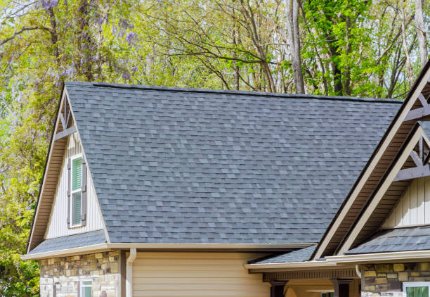Professional Roofing Service in Flagstaff, AZ